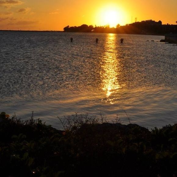 Meet your Posher, Cynthia - Picture 1 of 1